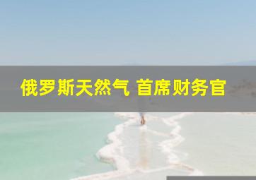 俄罗斯天然气 首席财务官